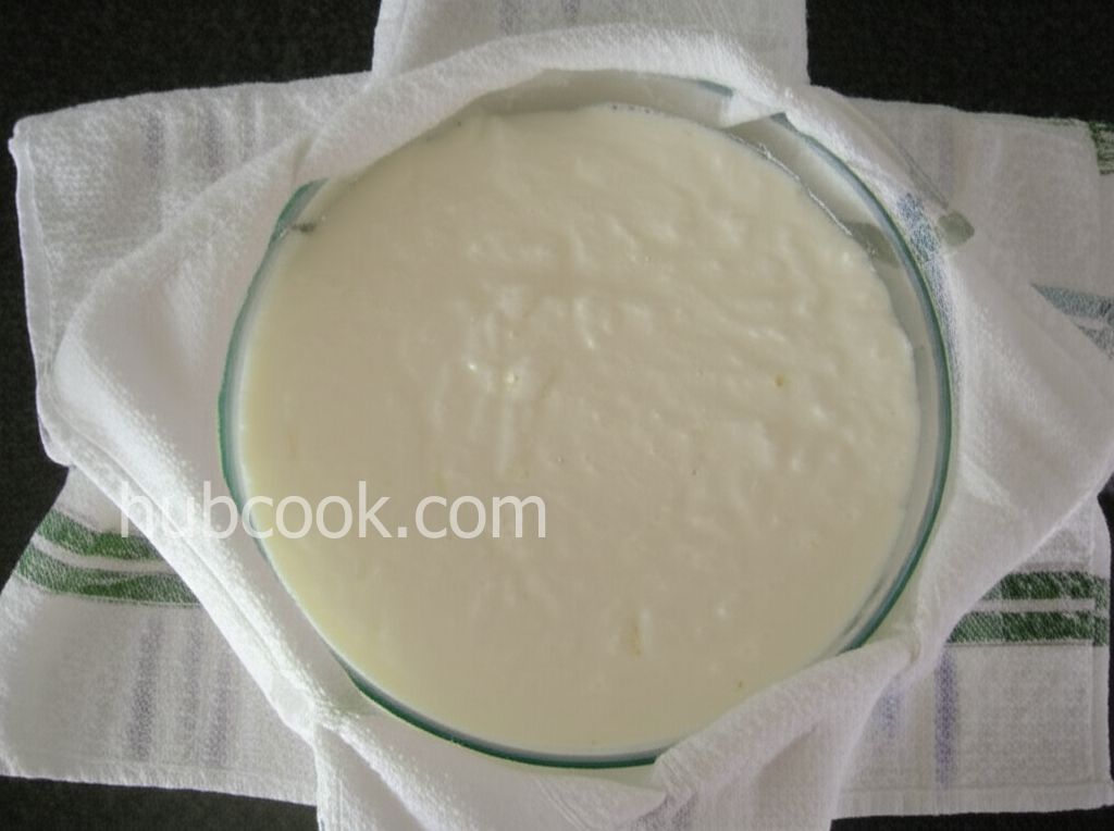 Authentic Homemade Yogurt